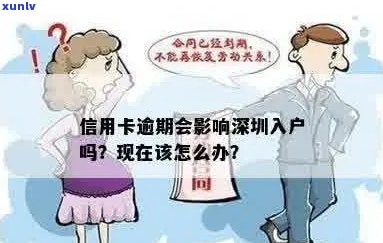 深圳积分入户信用卡逾期