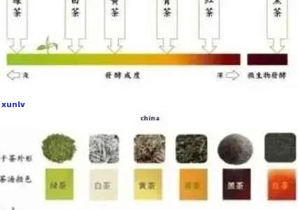 探究普洱茶膏的美肤奇效：对气色的影响与科学原理