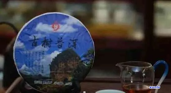 澜沧古茶普洱茶：云南原产地，正宗品质，茶叶收藏与品饮指南