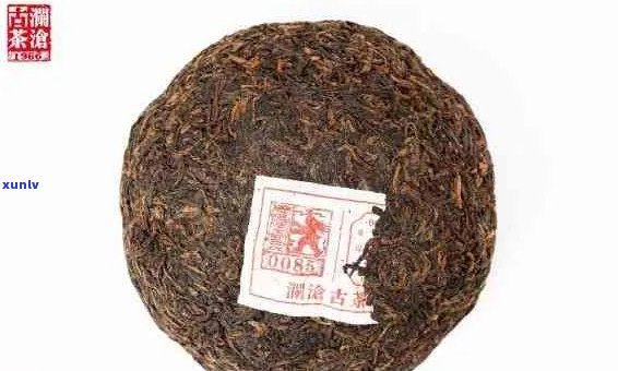 澜沧古树0085价格：澜沧古树茶多少钱一饼？澜沧古树普洱茶。