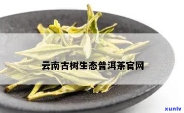 澜沧古树普洱茶官网