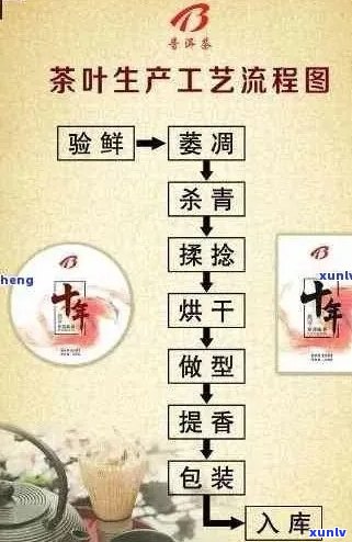 买回来的普洱茶加工工艺流程：详细步骤与要点