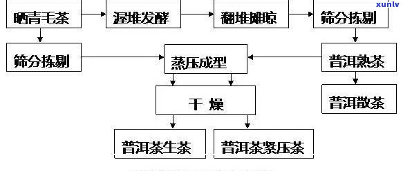 普洱茶的完整加工流程及其各个阶详解