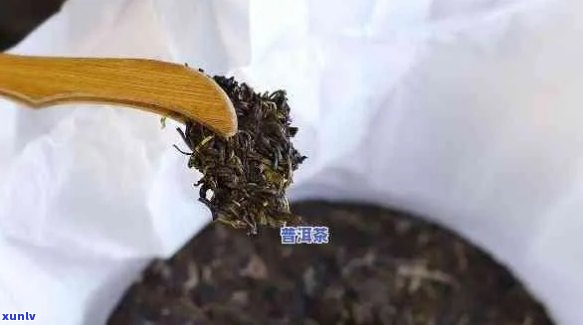 新如何轻松拆开普洱茶小包装，让你泡出完美茶香