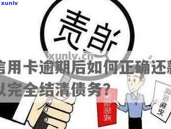 如何以更低成本还清信用卡逾期债务：全面指南和建议