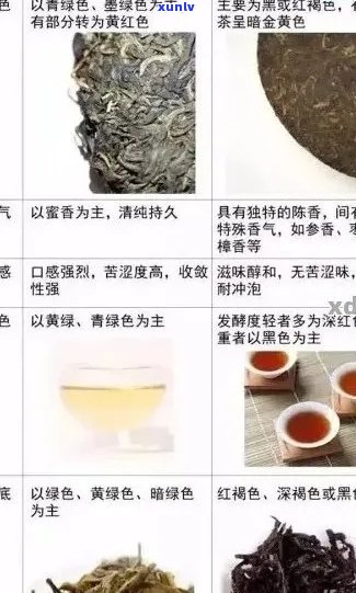 从选购到泡饮：全面指南教你如何挑选和品鉴普洱茶