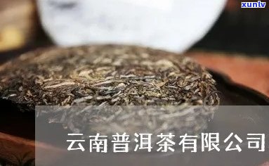 云南普洱茶集团 *** ：云南普洱茶厂 *** ，云南普洱茶厂家 *** 。