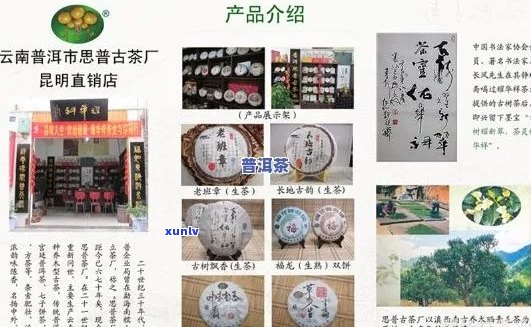 云南普洱茶厂： 优质茶叶， 创新技术， 客户服务热线