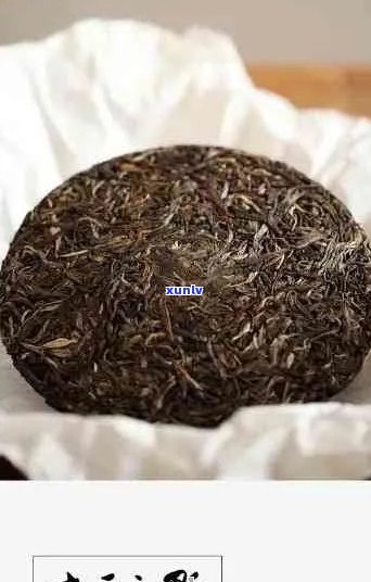 大号的茶：品质普洱，好喝不贵，官网正品保障。