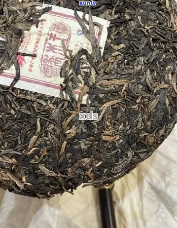 大号的茶：品质普洱，好喝不贵，官网正品保障。