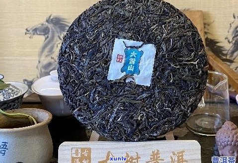 大号的茶：品质普洱，好喝不贵，官网正品保障。