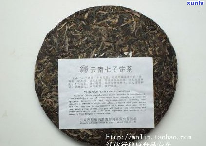 玩味普洱茶的极指南：品鉴、选购、泡法与品评全解析