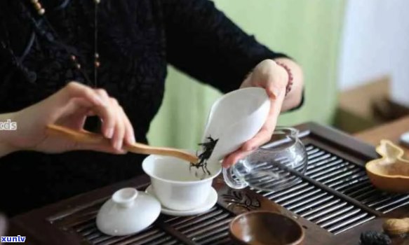 玩味普洱茶的极指南：品鉴、选购、泡法与品评全解析