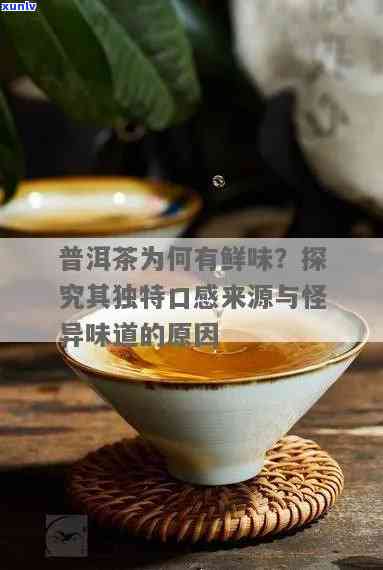 普洱茶辣：探究口感背后的科学原理与独特魅力