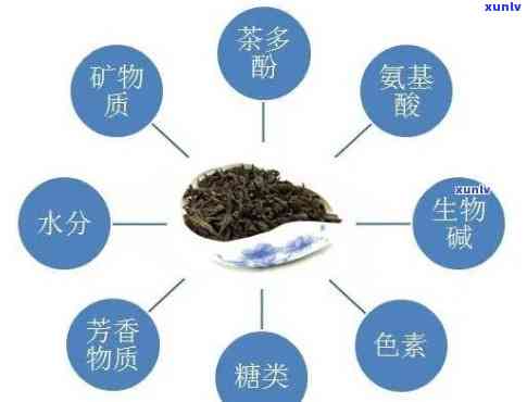 普洱茶辣：探究口感背后的科学原理与独特魅力