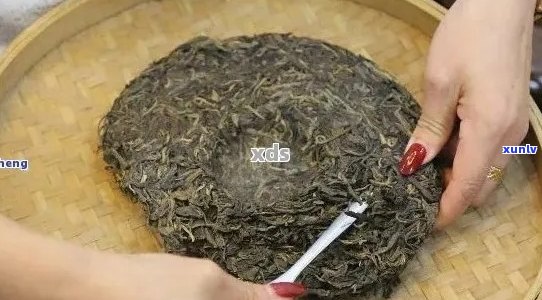 '怎么包普洱茶饼45秒快速学会： 茶艺新手指南'