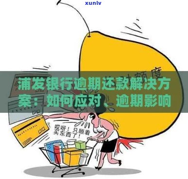 浦发信用卡还款逾期：处理 *** 和影响分析