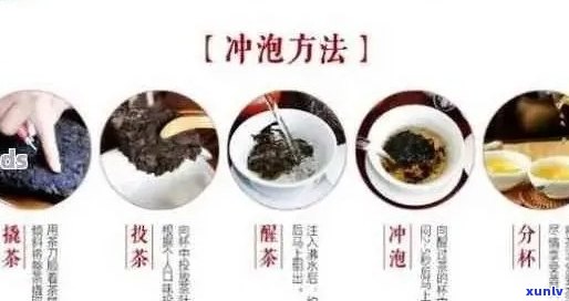 普洱茶泡法与技巧：一文详解如何正确冲泡出高品质普洱茶