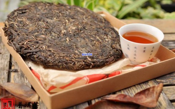 熟普洱茶的泡法：什么度的水最适宜？