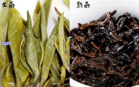 熟普洱茶适合多少度