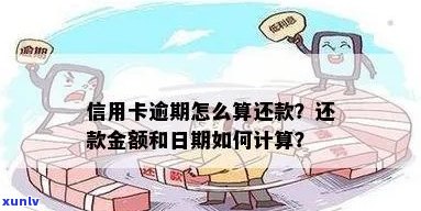 信用卡年费逾期计算与还款日期：全面解答常见疑问