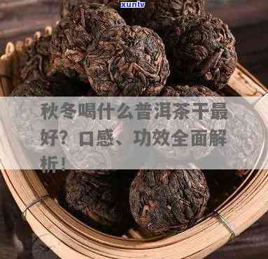 普洱茶干吃：口感与功效的探究