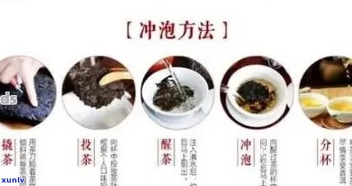 普洱茶泡法全解析：如何正确冲泡普洱茶以获得口感和效果