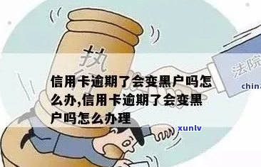 信用卡逾期黑户洗白