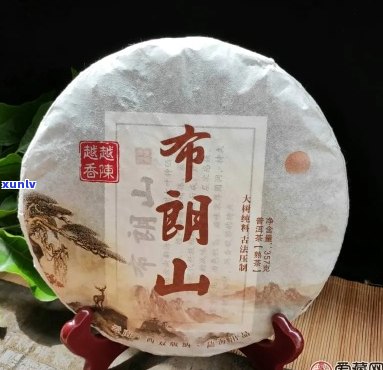 福润堂布朗山普洱茶