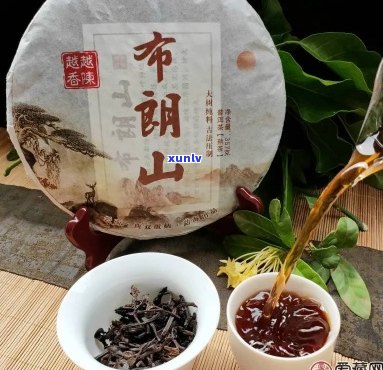 福润堂布朗山普洱茶