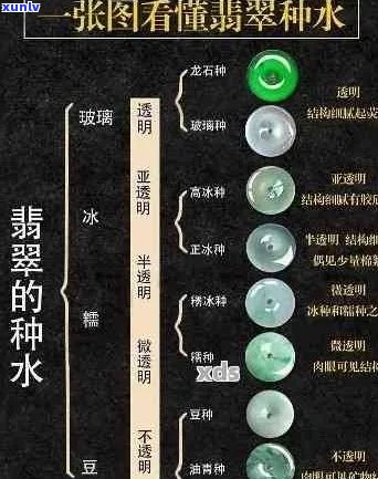 翡翠颗粒大小与种水关系：真相揭秘！