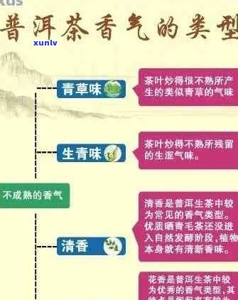 新普洱茶的香气去哪了？可能是这些原因导致的！