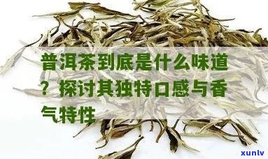 普洱茶的香气特点及其与口感的关系