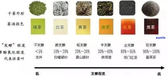 御茗堂茶业：品茗文化、茶叶种类、茶叶泡法、茶道教程、茶叶收藏全指南