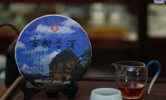 北京普洱茶都：探寻古都的茶文化魅力，品味醇厚的历韵味