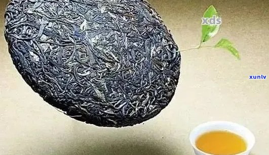 普洱茶名的三种来历：探究普洱茶名称的历、文化与地理渊源