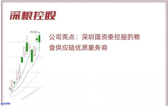 深粮控股：全方位理解与探索其多元化产品线