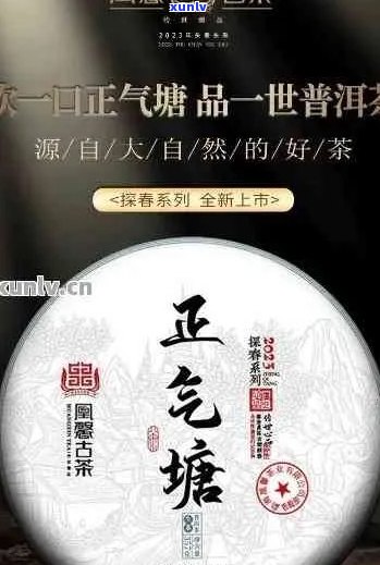 正合堂普洱茶怎么样