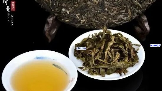 普洱茶生茶与熟茶的区别及其适用场景：生的可以喝吗？