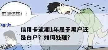 信用卡逾期后的信用恢复期：如何避免黑户状态？