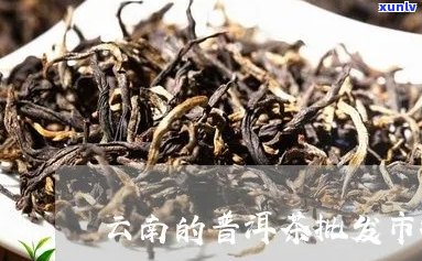 '云南哪里买普洱茶比较好：正宗云南普洱茶购买指南'