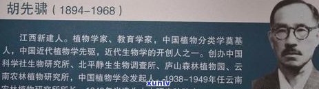 68年普洱茶一瓶多少钱：1968年普洱茶价格与重量解析