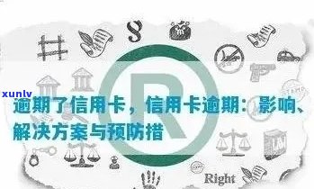 信用卡逾期6小时可能带来的后果及应对策略：了解您的信用影响和解决方案