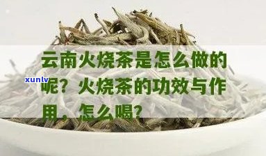 火烧茶的功效与作用：提神醒脑、去腻消食，禁忌人群需注意。