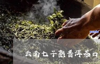 云南七子普洱茶子捷：古树茶香，醇厚口感，珍藏佳品