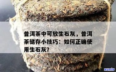 普洱茶里能放生吗