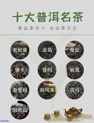 '十大普洱茶顺序排名榜' - 普洱茶行业领导一览