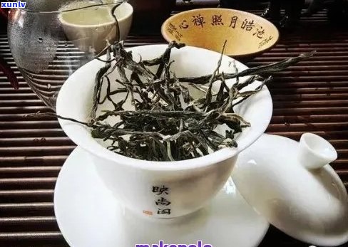 全面盘点：2023年十大普洱茶排行榜，助您轻松选购优质茶叶