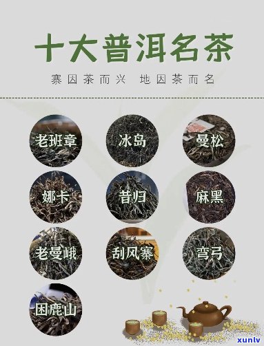 网站十大普洱茶