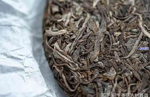 云源号普洱茶：品种、产地、 *** 工艺、口感与功效全方位解析